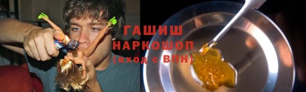 индика Медногорск