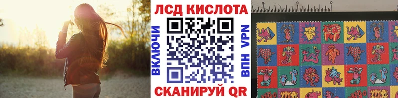 Наркотические марки 1500мкг  где найти наркотики  Гдов 