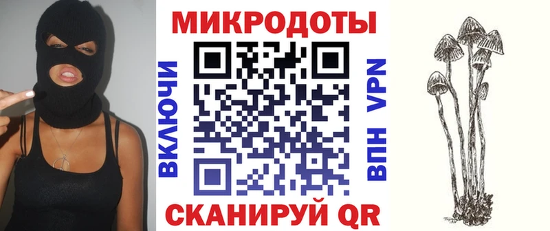 Галлюциногенные грибы Magic Shrooms  наркошоп  Гдов 
